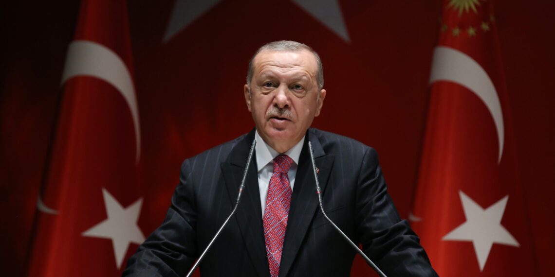 «Тюркская дуга» Эрдогана не нужна самой Турции