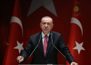 «Тюркская дуга» Эрдогана не нужна самой Турции