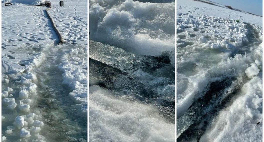 В Министерстве экологии прокомментировали причину массовой гибели рыбы в реке Есиль