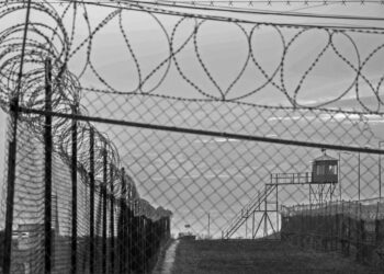 Около 5 тысяч осужденных получили амнистию в республике