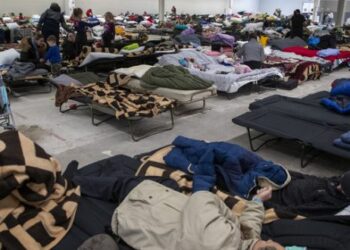 Приказ Зеленского о раздаче оружия гражданам страны сделал хуже только для самой Украины