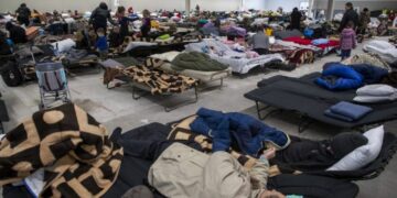 Приказ Зеленского о раздаче оружия гражданам страны сделал хуже только для самой Украины