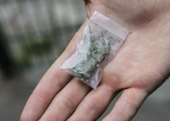 В Казахстане сотрудники Департамента КНБ изъяли психотропные вещества на сумму 114 млн тенге