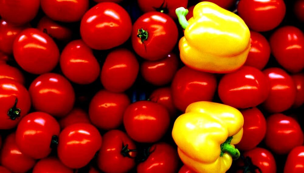 РФ отменила запрет на импорт перцев и томатов из Казахстана