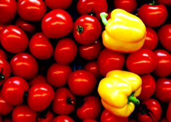РФ отменила запрет на импорт перцев и томатов из Казахстана