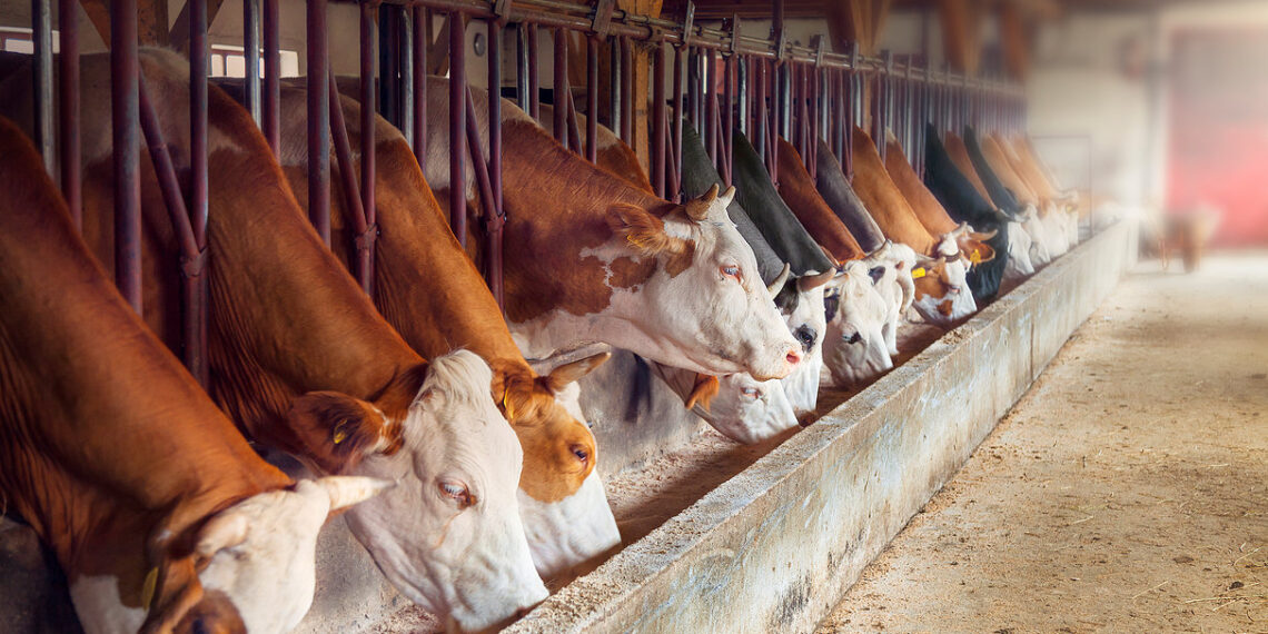 В РК повысят зарплаты ветеринарам