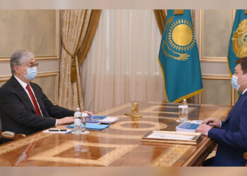 Токаев принял исполнительного секретаря партии «Amanat»