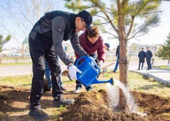 Волонтеры в Нур-Султане во время субботника посадили более 4 тысяч деревьев