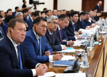 Правительство Казахстана разработало план по импортузамещению