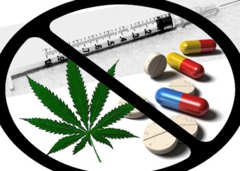 В Петропавловске обнаружили крупную партию наркотических веществ