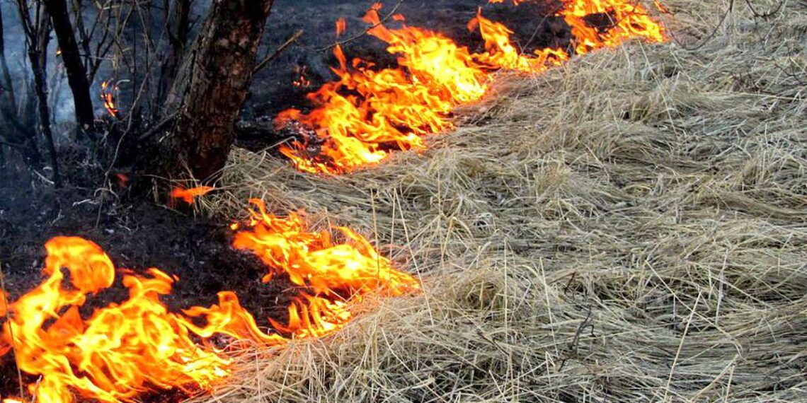 Сухая трава загорелась на кладбище в Шемонаихе