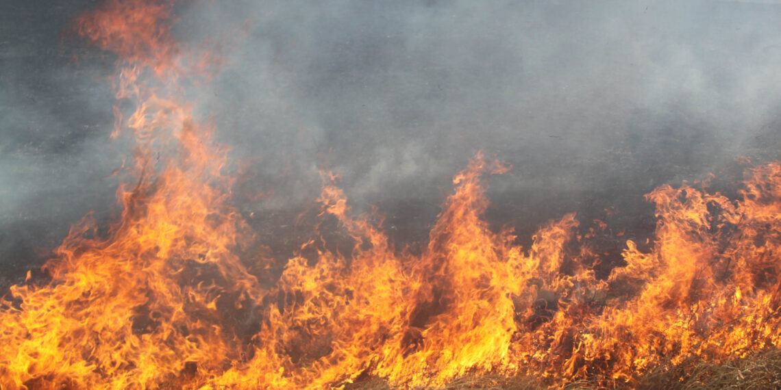 В Петропавловске около нефтебазы начался пожар