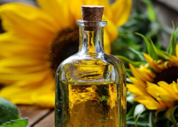 Казахстан наложил ограничения на экспорт подсолнечного масла