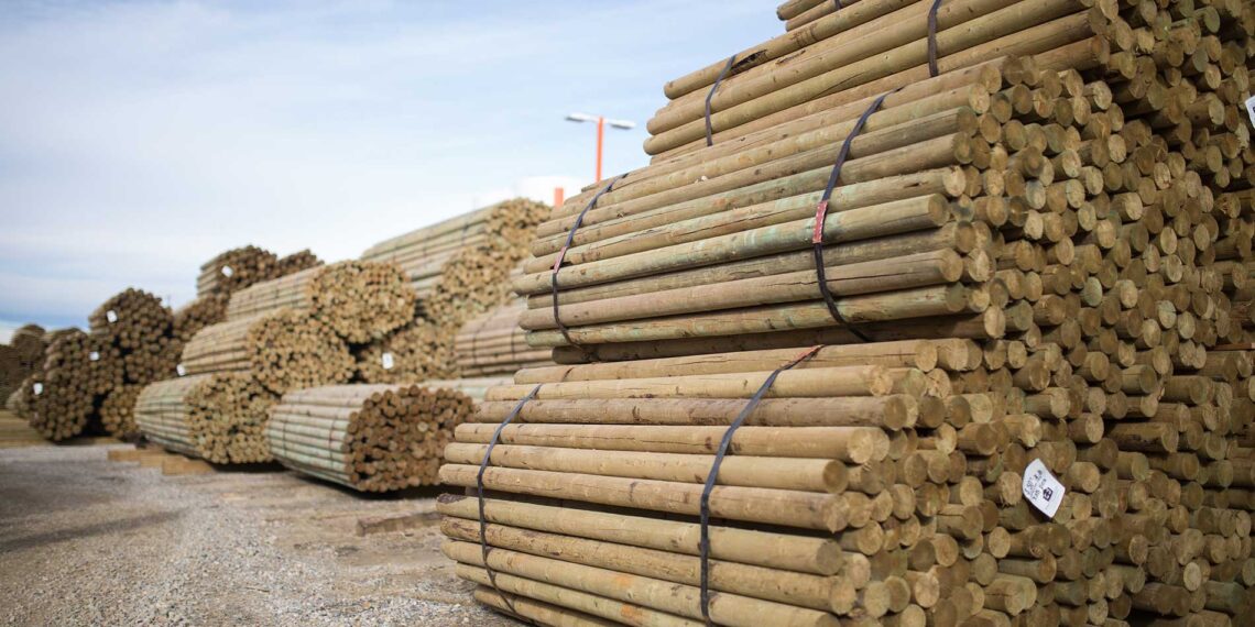 В Казахстане запретили экспорт отдельных видов лесоматериалов