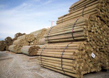 В Казахстане запретили экспорт отдельных видов лесоматериалов