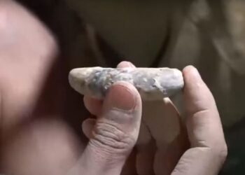 В Туркестанской области нашли предметы быта первобытного человека