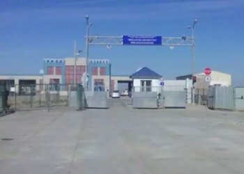 Работа пункта пропуска на границе Казахстана и Узбекистана временно приостановлена
