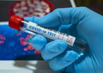 Данные по COVID-19 на 19 июля