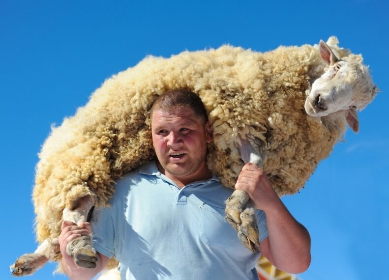 В Нур-Султане бывший работник рынка украл пять баранов