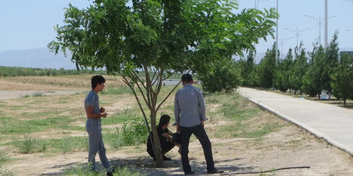 Переселенцы из Туркменистана в Казахстан часто попадают в сложную ситуацию из-за жары