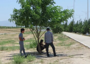 Переселенцы из Туркменистана в Казахстан часто попадают в сложную ситуацию из-за жары