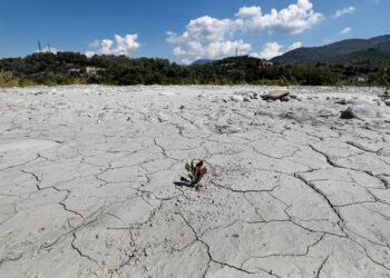 Рекордная засуха зафиксировано на востоке и юге Англии