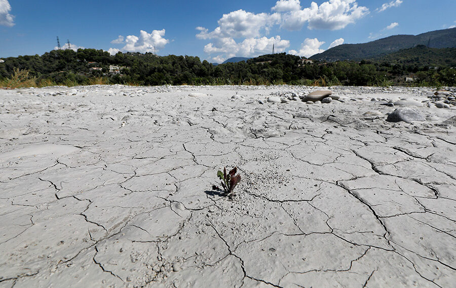 Рекордная засуха зафиксировано на востоке и юге Англии