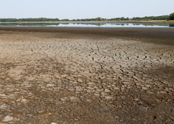 Во Франции зафиксирована рекордная засуха