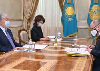 Токаев принял министра культуры и спорта