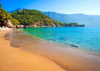 Жители Актау стали жертвами аферистки