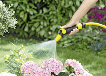 В Великобритании ввели запрет на использование поливных шлангов