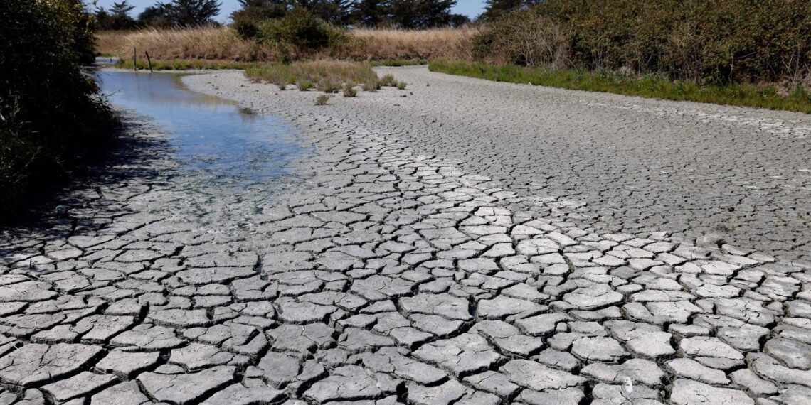 В Казахстане ожидается засуха