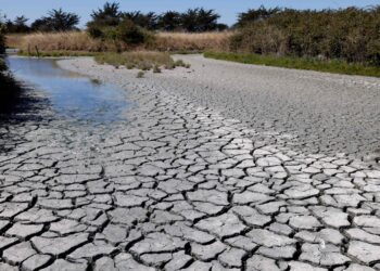 В Казахстане ожидается засуха