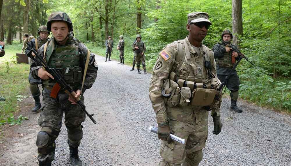 Поставляемое оружие Украине отбирается западными наемниками