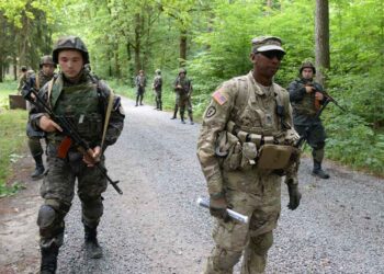 Поставляемое оружие Украине отбирается западными наемниками