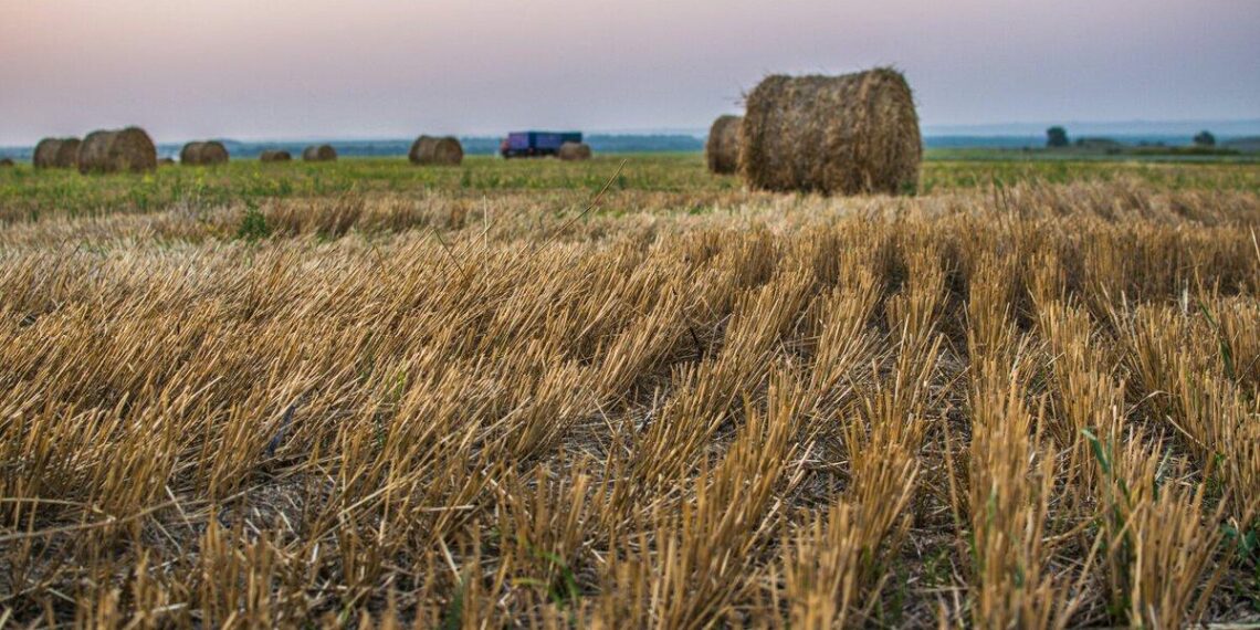 5 млн гектаров неиспользуемых земель хотят вернуть до 2023 года