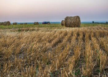 5 млн гектаров неиспользуемых земель хотят вернуть до 2023 года