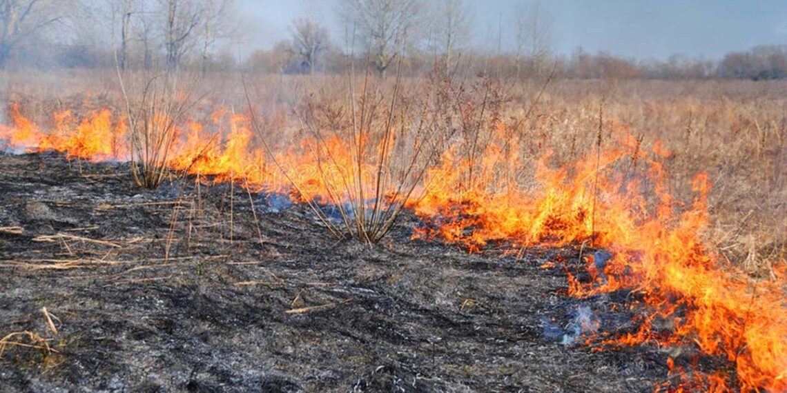 В ВКО происходят пожары сухой травы