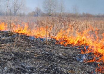 В ВКО происходят пожары сухой травы
