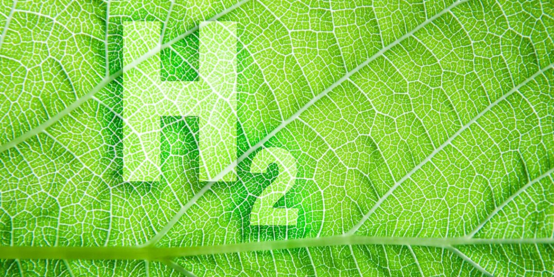 Мангистауская область станет производителем зеленого водорода