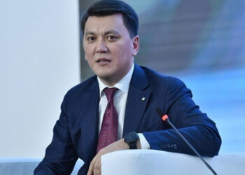 Ерлан Карин прокомментировал подписание новых законов