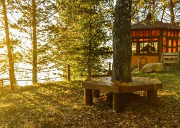 В Астане откроется экопарк площадью 70 гектаров