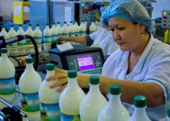 Стоимость молочных продуктов в Казахстане выросла на 28,2% за год