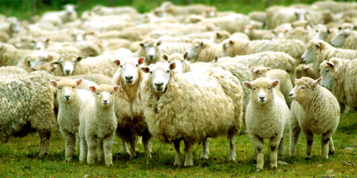 Два села в Казахстане закрыты на карантин