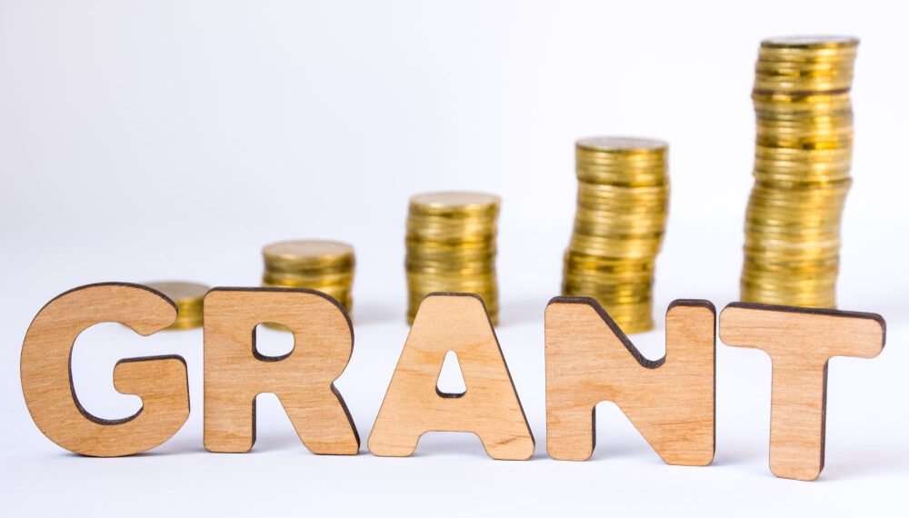 В Петропавловске около 450 проектов получили государственную поддержку