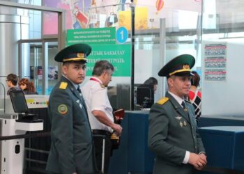 В ЕАЭС опубликован список товаров для прохождения таможни в первую очередь