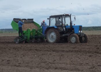 Аким Акмолинской области поздравил аграриев с итогами года