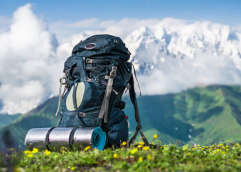 Правительство США может ввести ограничения для китайских туристов