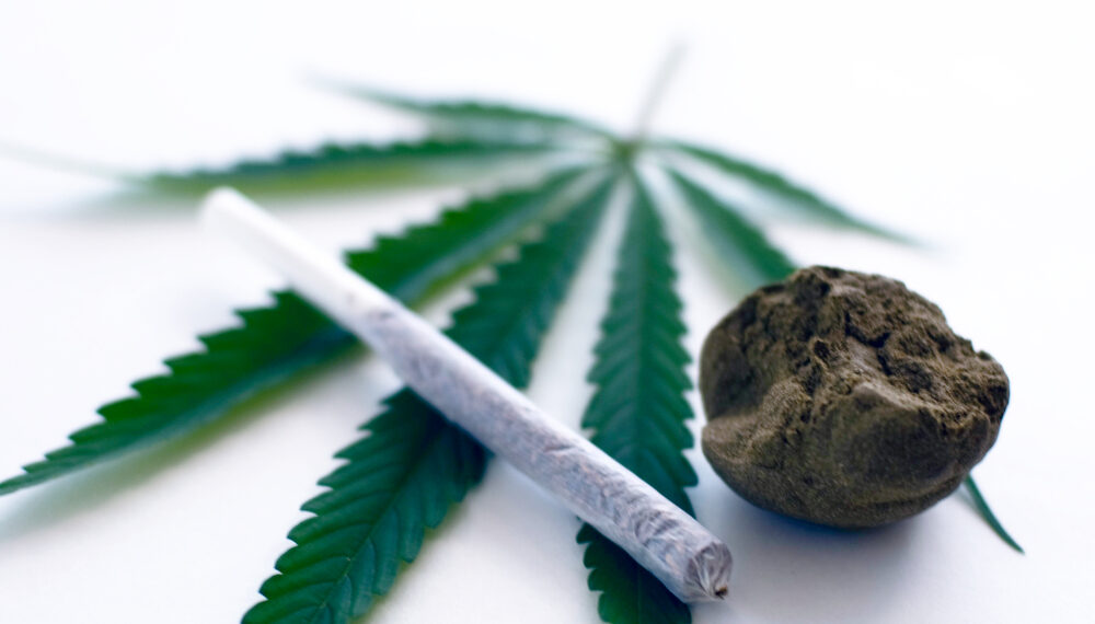 Украинские граждане организовали в Алматинской области две нарколаборатории