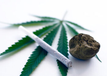 Украинские граждане организовали в Алматинской области две нарколаборатории